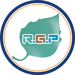 rgp engineerin group